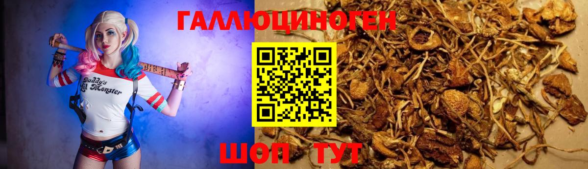 хочу   Вход с VPN  Бахчисарай  Галлюциногенные грибы мицелий  Псилоцибиновые грибы Psilocybine cubensis 